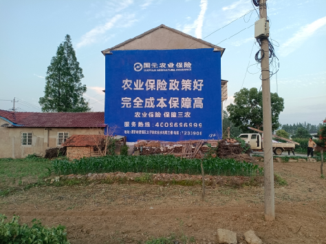 南城墙体广告的优劣势你知道吗？